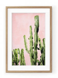 Tablou Plants on Pink Cactus Oak