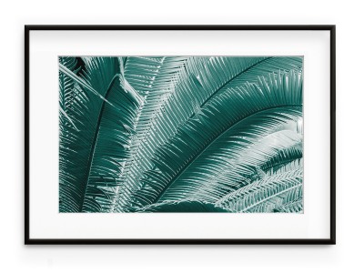 Tablou Palmes Bleues Aluminium Noir