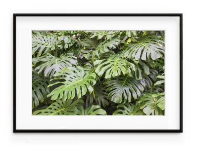 Tablou Monstera Leaves Aluminium Noir