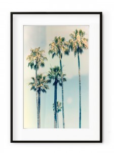 Tablou California Aluminium Noir