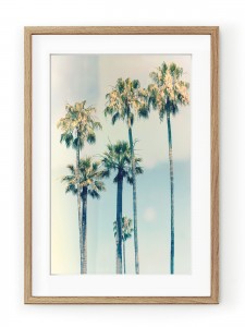 Tablou California Oak