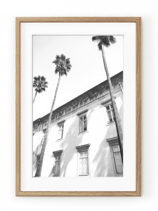 Tablou Architectural Palm Trees Oak