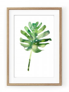 Tablou Monstera Oak