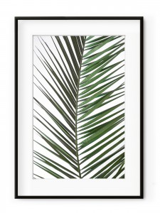 Tablou Palm Leaf Aluminium Noir