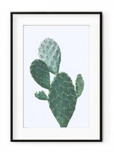 Tablou Plant on Blue Cactus Aluminium Noir