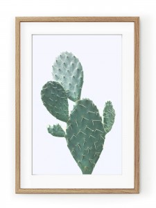 Tablou Plant on Blue Cactus Oak