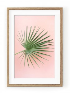 Tablou Palm on Pink Oak