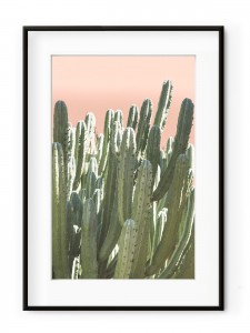Tablou Californian Cactus II Aluminium Noir