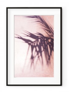 Tablou Palm Leaves Shadow Aluminium Noir