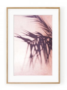 Tablou Palm Leaves Shadow Oak