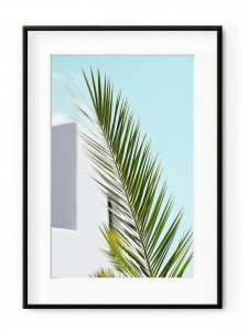 Tablou Minimal Palm Aluminium Noir