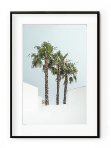 Tablou Minimal Palm Trees Aluminium Noir