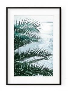 Tablou Seaside Palms II Aluminium Noir