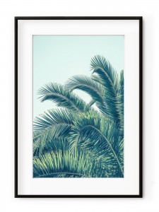 Tablou Seaside Palms Aluminium Noir