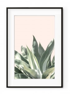 Tablou Light Pink Aloe Aluminium Noir