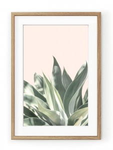 Tablou Light Pink Aloe Oak