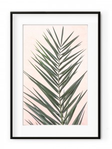 Tablou Light Pink Palm Leaf Aluminium Noir