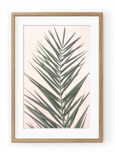Tablou Light Pink Palm Leaf Oak