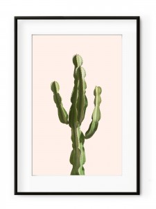 Tablou Light Pink Cactus Aluminium Noir
