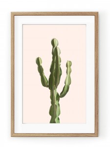 Tablou Light Pink Cactus Oak