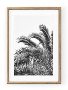 Tablou Palm Leaves Black & White Oak