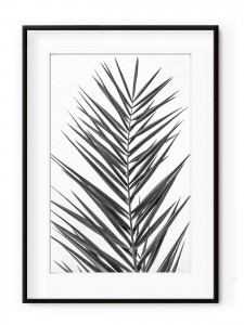 Tablou Palm Leaf Black & White Aluminium Noir