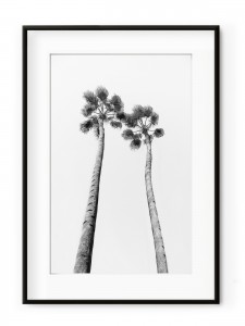 Tablou Black & White Palm Trees Aluminium Noir II
