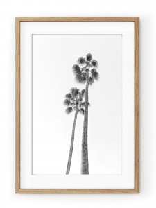 Tablou Black & White Palm Trees Oak