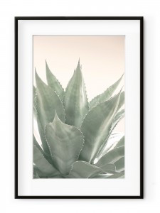 Tablou Sweet Agave Aluminium Noir