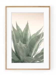 Tablou Sweet Agave Oak