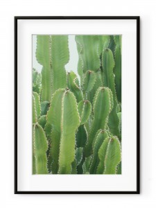 Tablou Neon Green Cactus Aluminium Noir