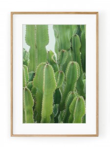 Tablou Neon Green Cactus Oak