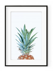 Tablou Minimal Pineapple Aluminium Noir