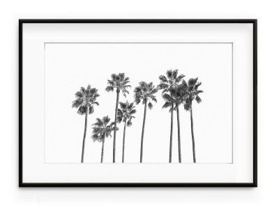Tablou Black Palm Trees II Aluminium Noir
