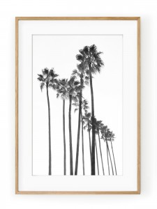 Tablou Black Palm Trees Oak
