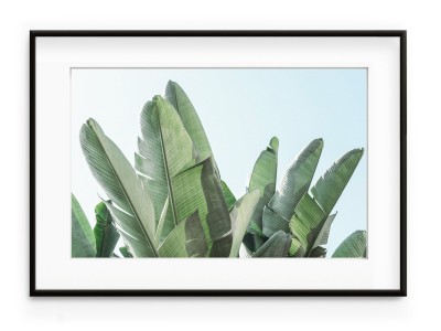 Tablou Banana Leaves Aluminium Noir