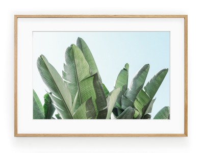 Tablou Banana Leaves Oak