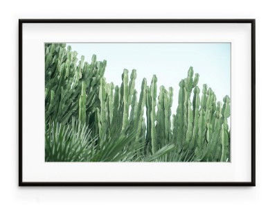 Tablou Cactus Forest Aluminium Noir