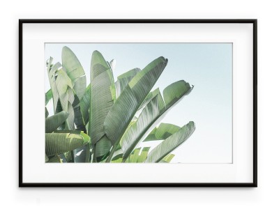 Tablou Banana Leaves II Aluminium Noir