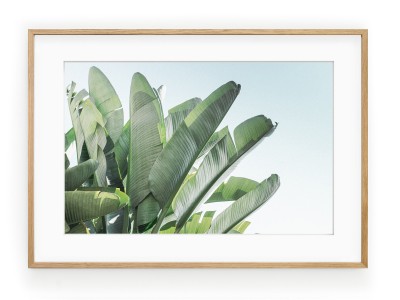 Tablou Banana Leaves II Oak