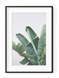 Tablou Regal Banana Leaves Aluminium Noir