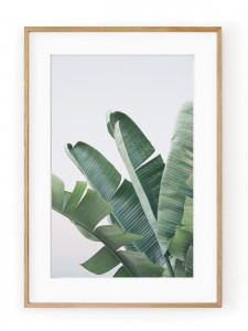 Tablou Regal Banana Leaves Oak