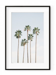 Tablou Regal Palm Trees Aluminium Noir
