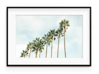 Tablou Palm Trees Squad Aluminium Noir