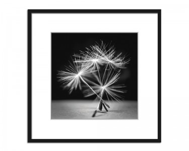 Tablou Artbox Dandel I, 50x50 cm 