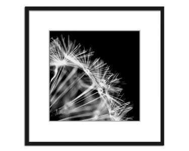 Tablou Artbox Dandel II, 50x50 cm 