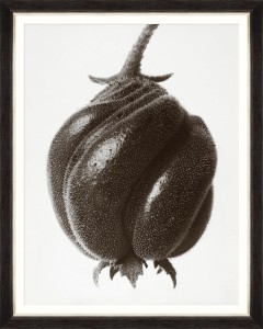 Tablou Framed Art Blumenbachia by Blossfeldt 