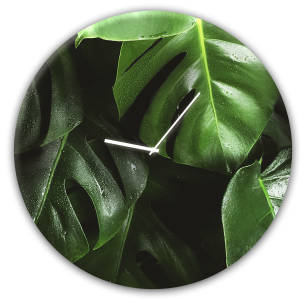 Ceas de perete Monstera GC006, Ø 30 cm