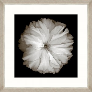 Tablou Framed Art Cherry Blossom 