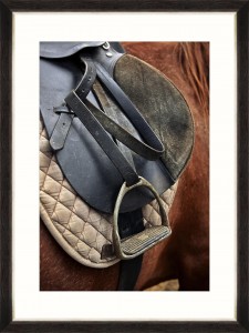 Tablou Framed Art Equitation I